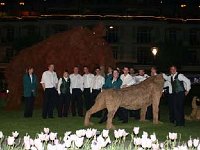 IMG 4523 JPG