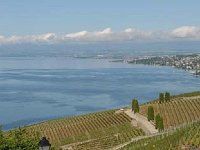 regionale musiques lavaux